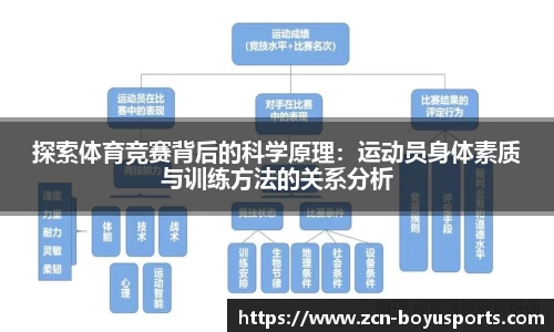博鱼boyu体育官方网站